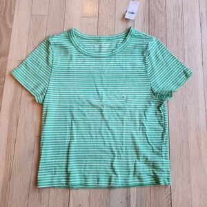 American Eagle Outfitters Green Striped Short Sleeve Tee